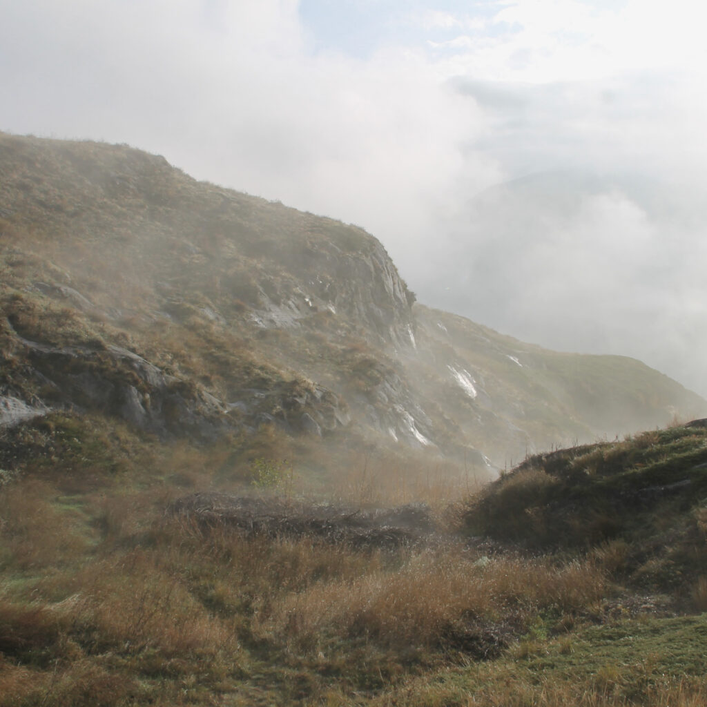 Nebel