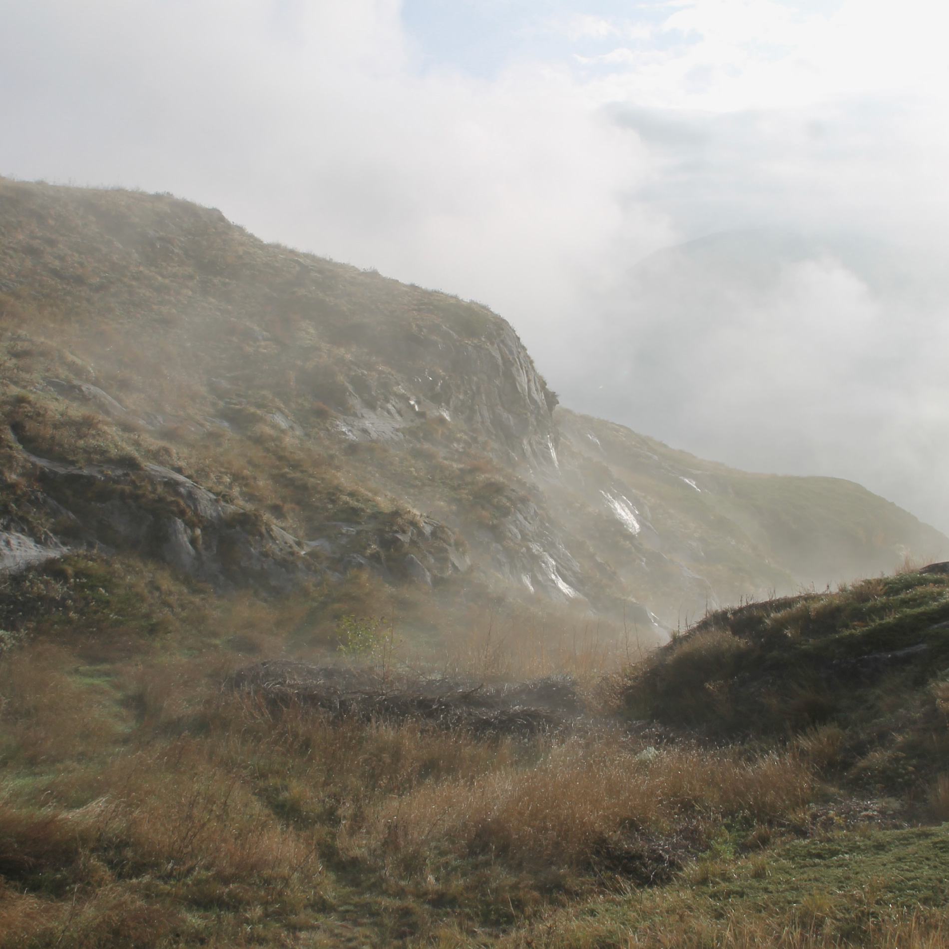 Nebel