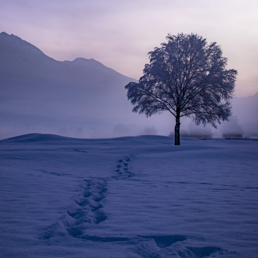Schneenacht