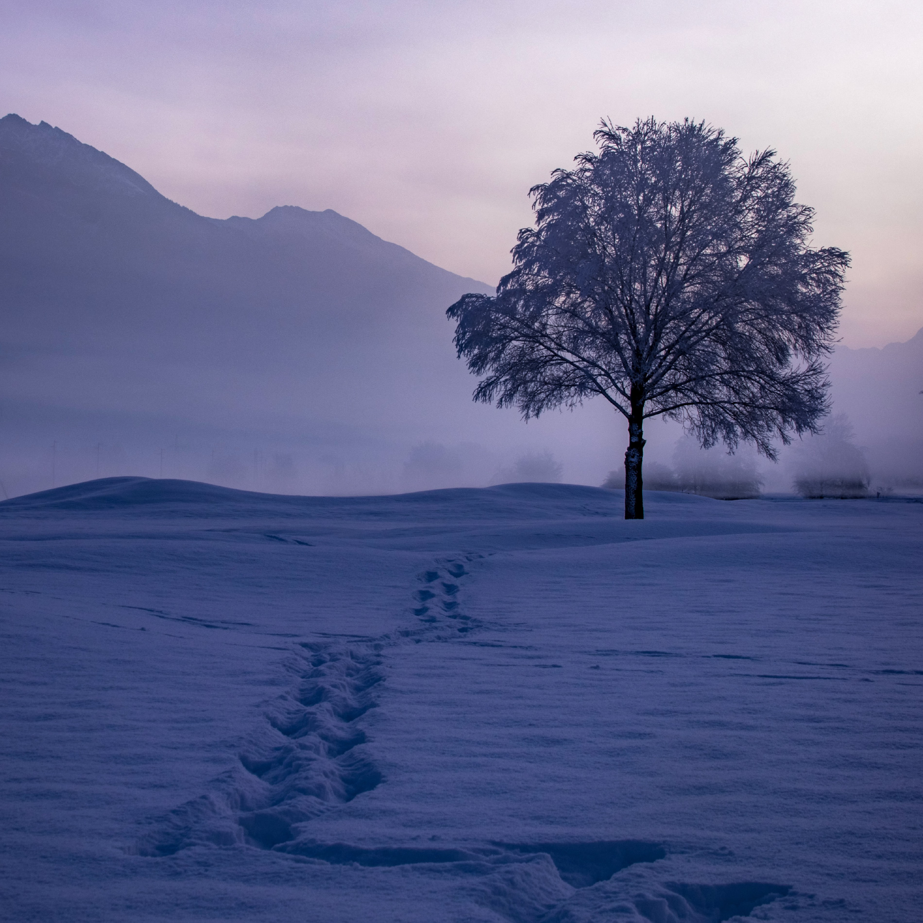 Schneenacht